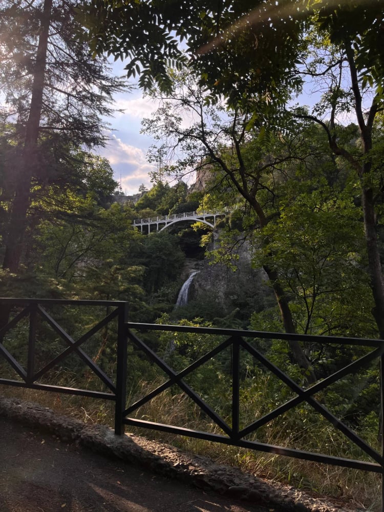 National Botanical Garden — Tbilisi