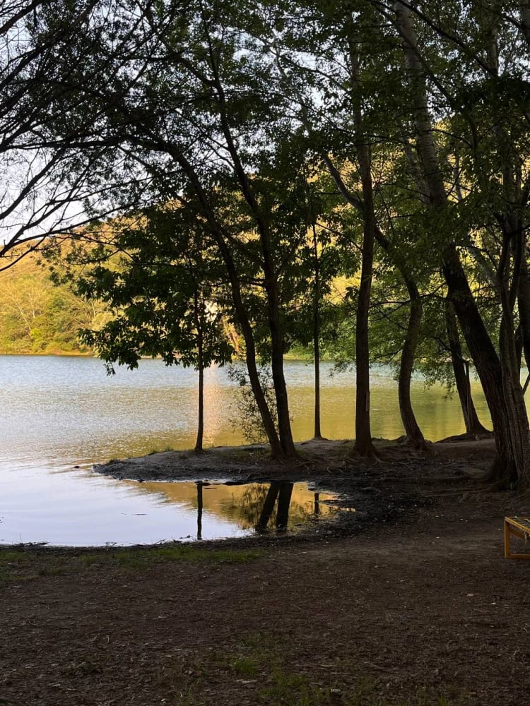 Turtle Lake — Tbilisi