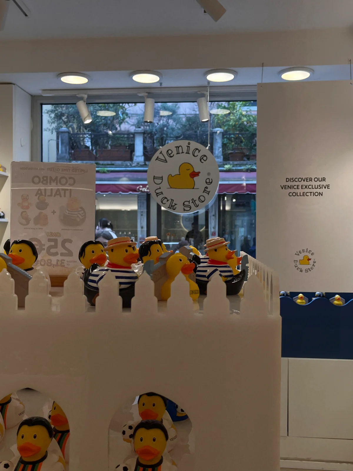 Venice Duck Store - The Original