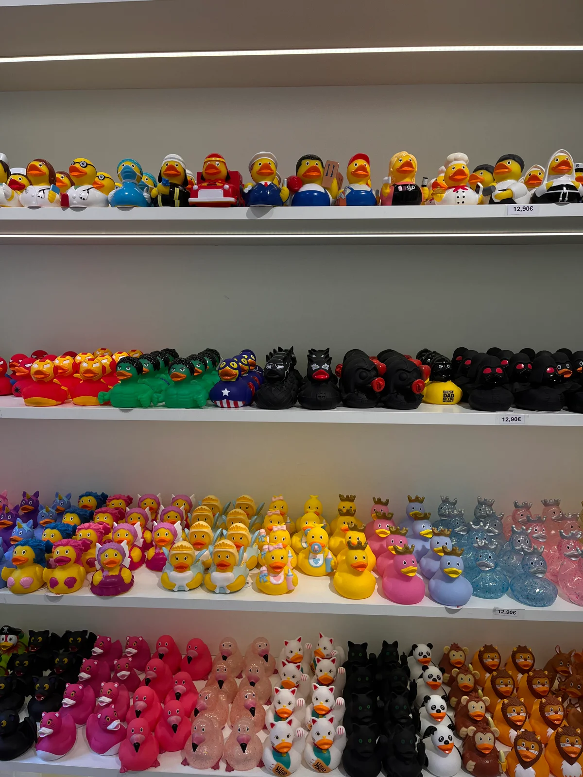Venice Duck Store - The Original