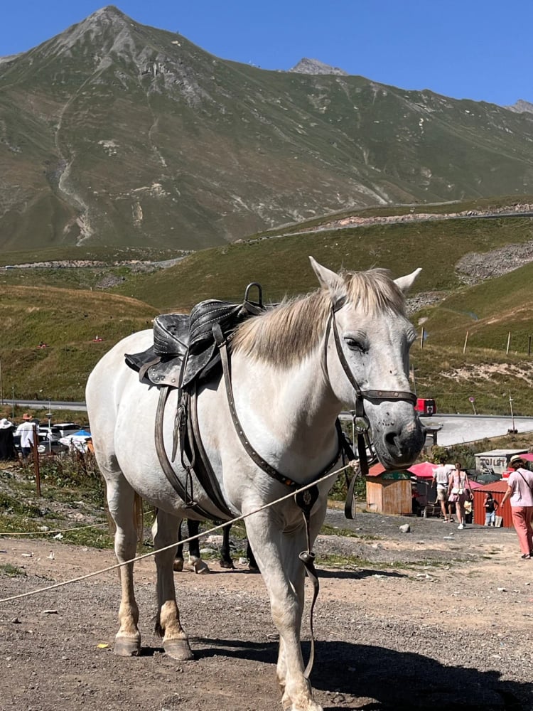 Gudauri View Point — Mtskheta-Mtianeti
