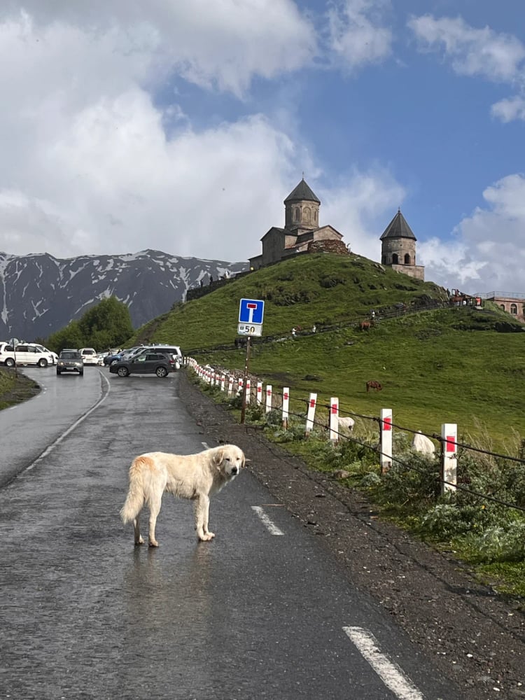 Gergeti Trinity Church — Gergeti