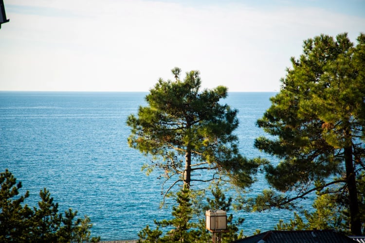 Hotel VS / სასტუმრო ვიესი — Kobuleti