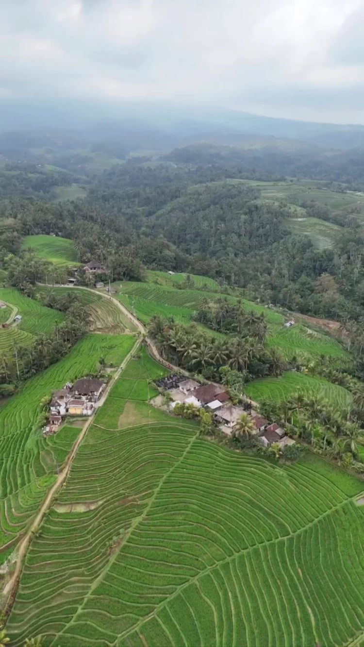 Belimbing Rice Terraces — Bali