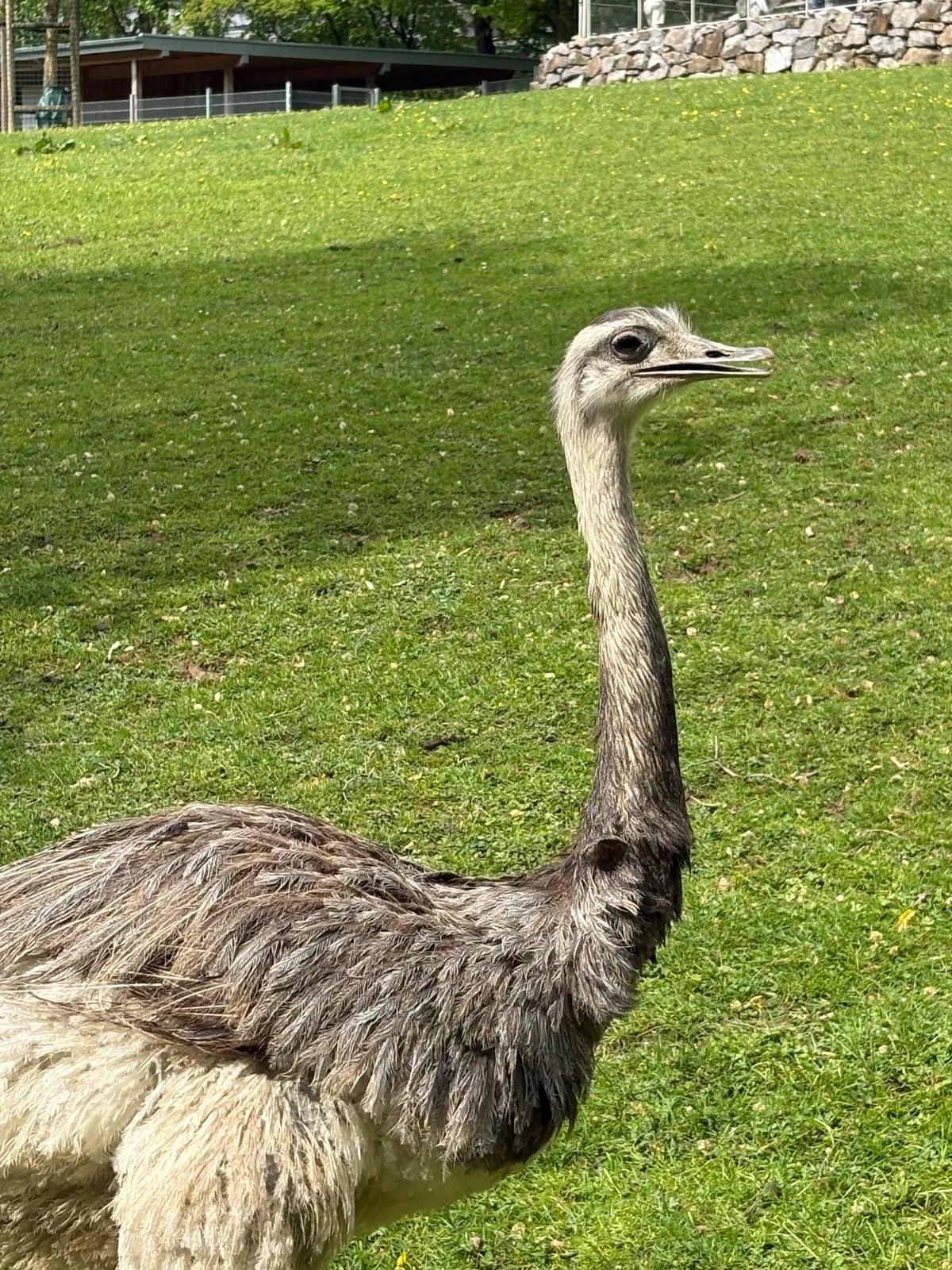 Aachener Zoo Euregiozoo