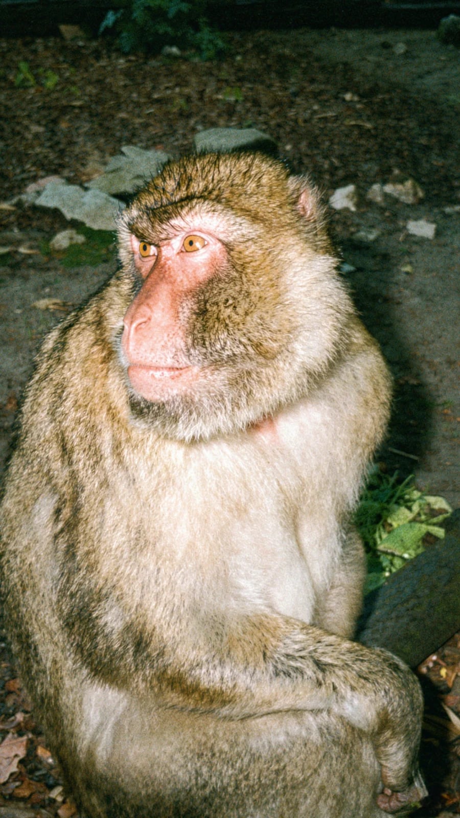 Aachener Zoo Euregiozoo