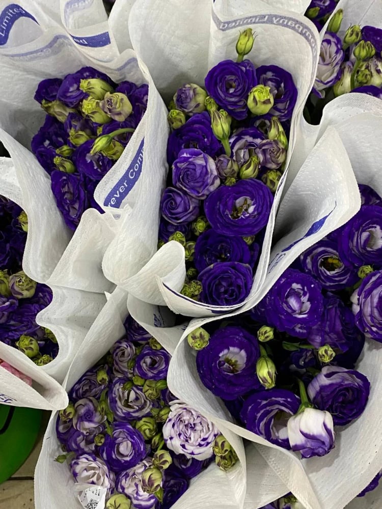 Lee Wah Florist (Wholesale) โ Kuala Lumpur