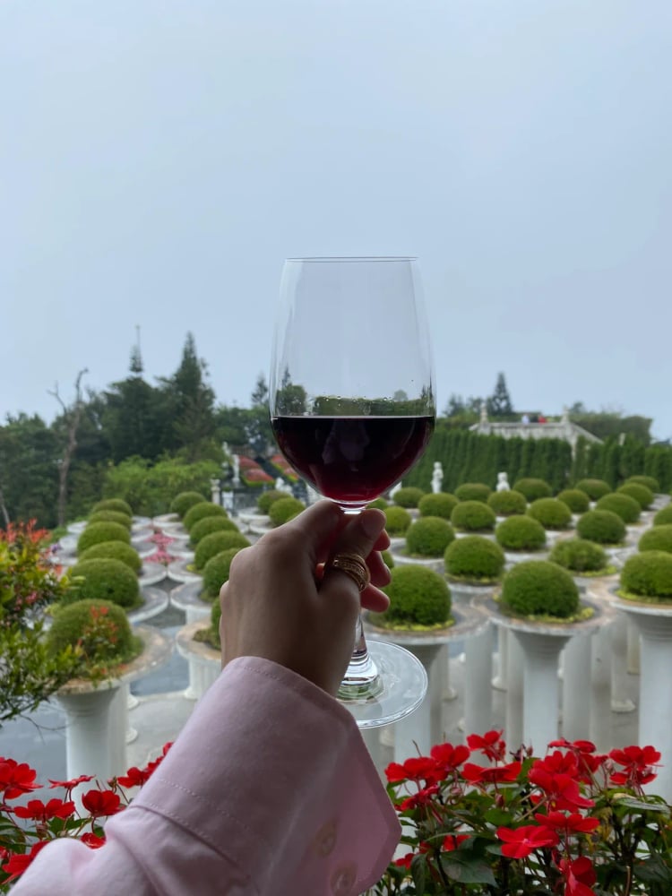 Debay Wine Cellar — Da Nang