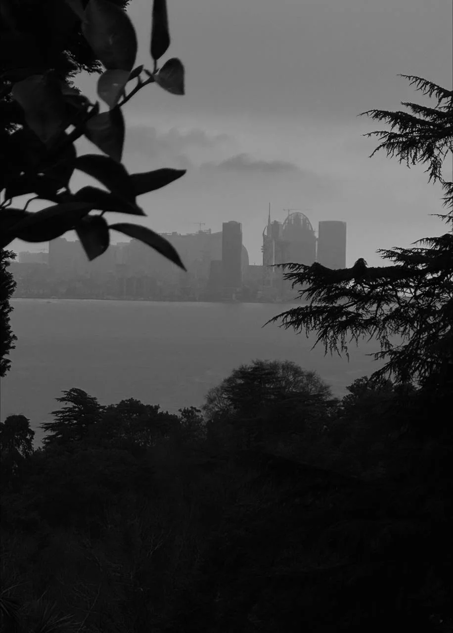 Batumi Botanical Garden