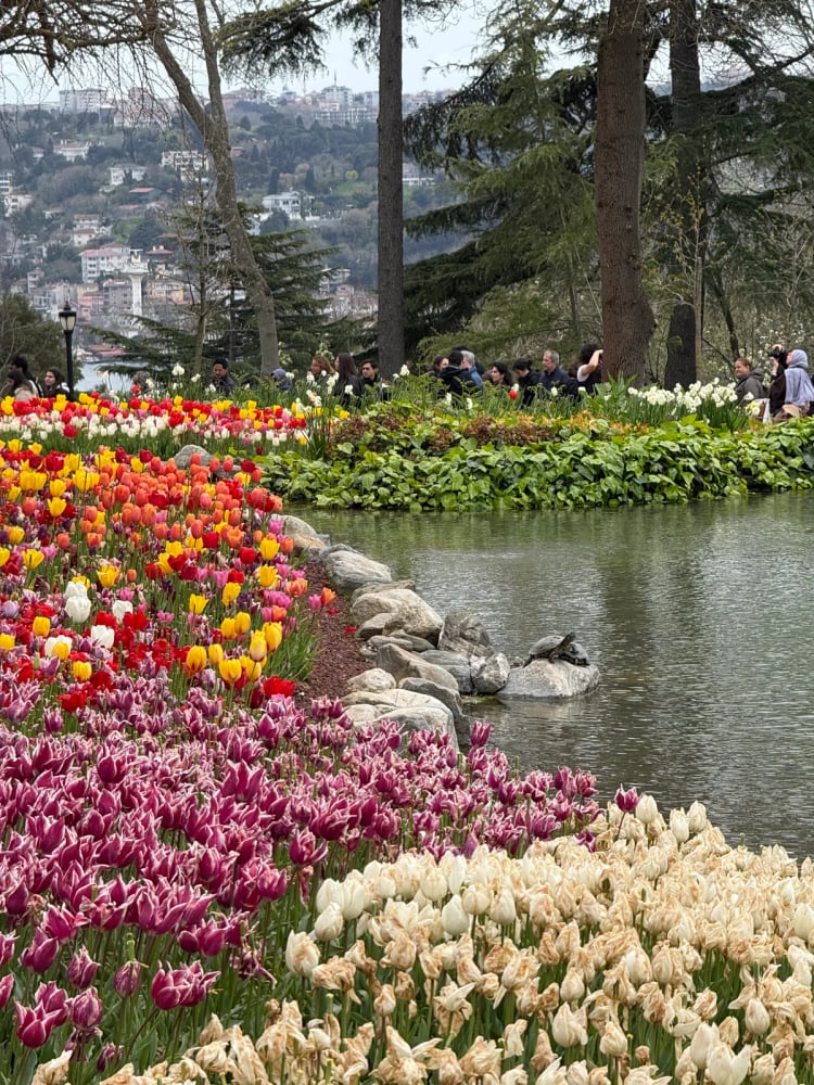 Emirgan Park — Istanbul