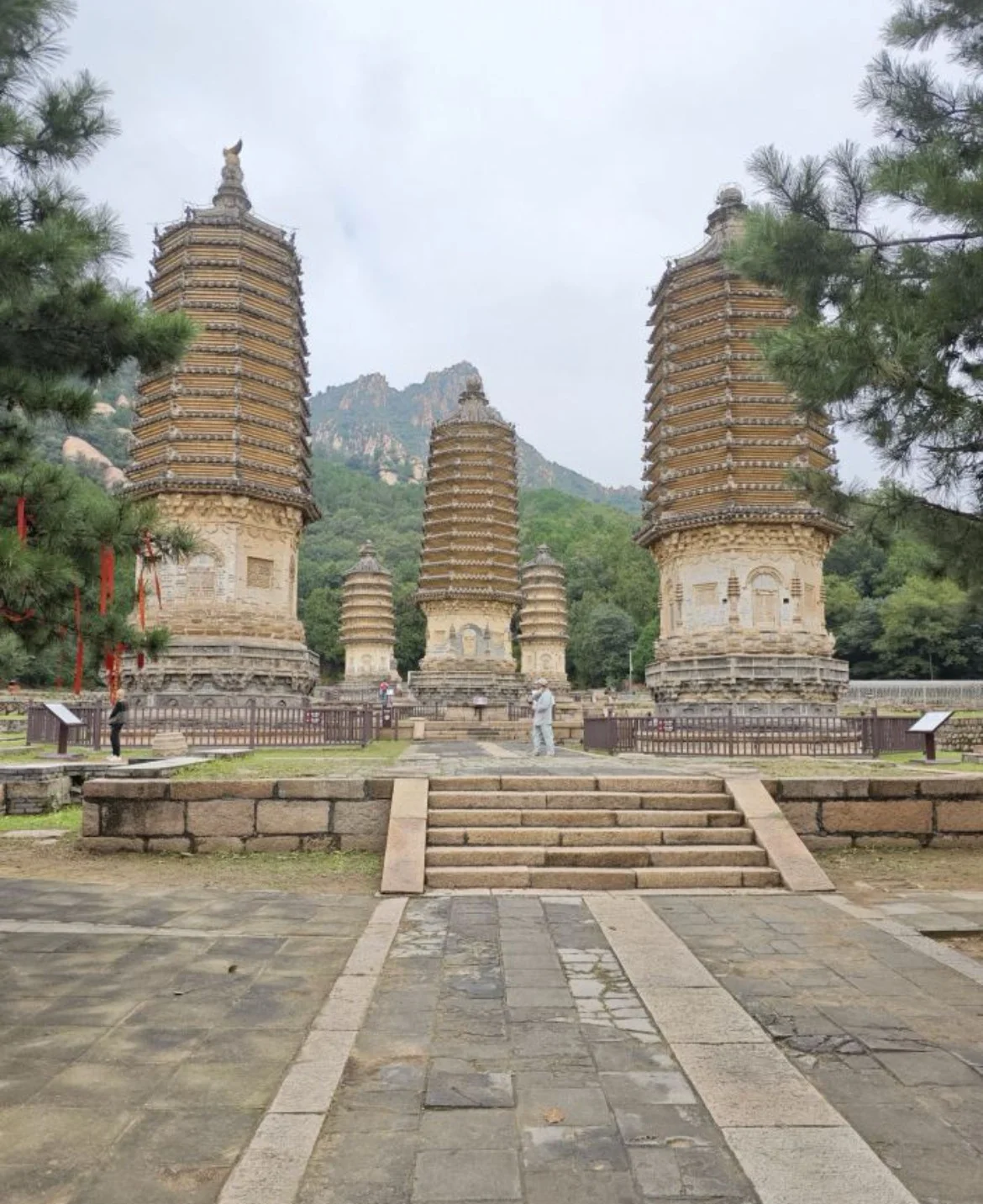 Yinshan Talin