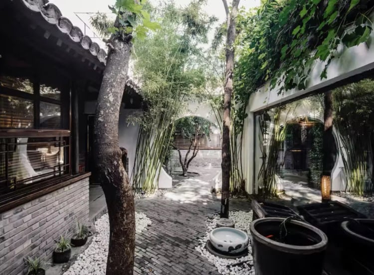 The Orchid — Beijing