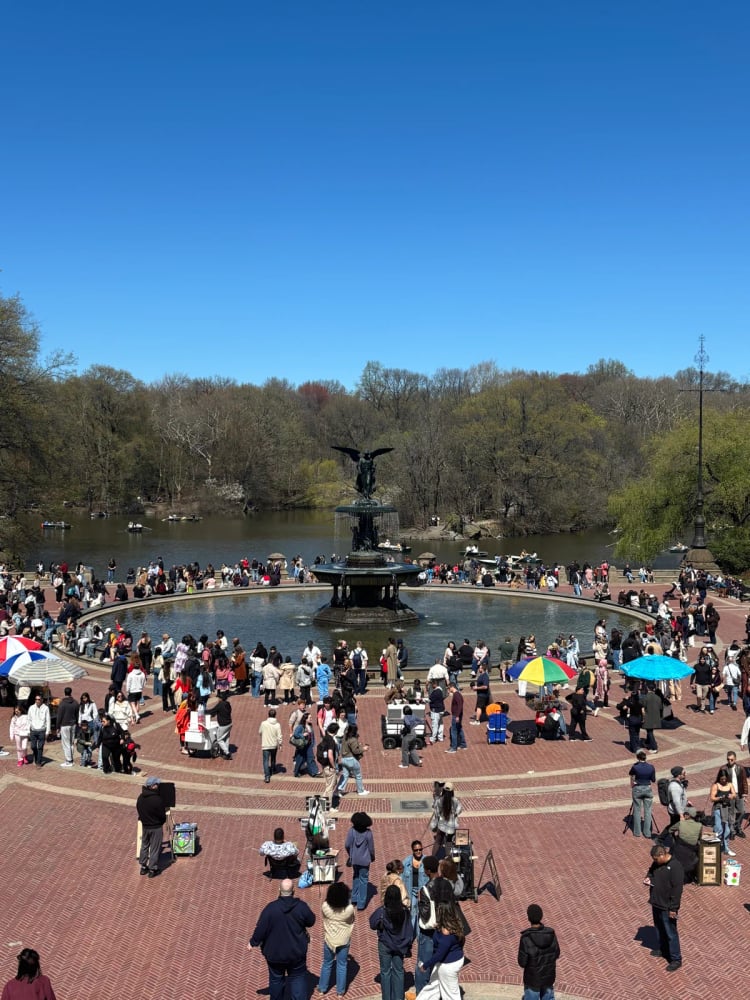 Central Park — New York