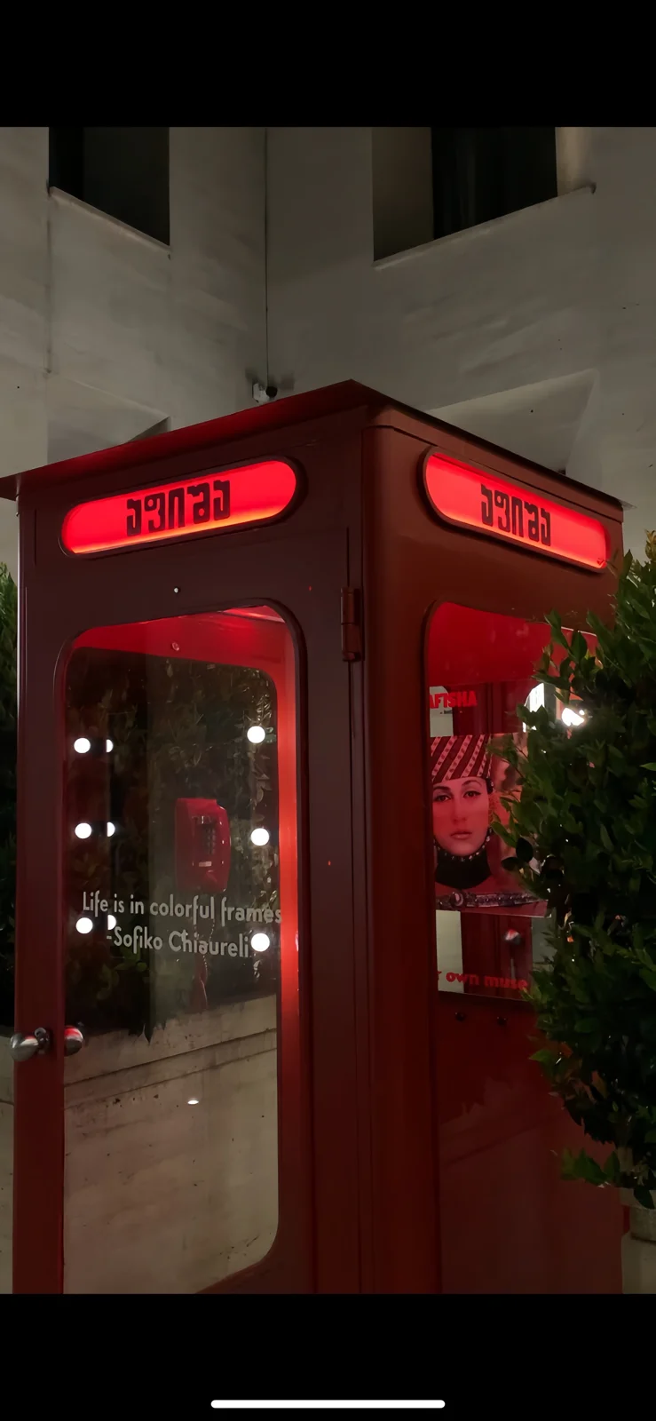 Afisha Brasserie