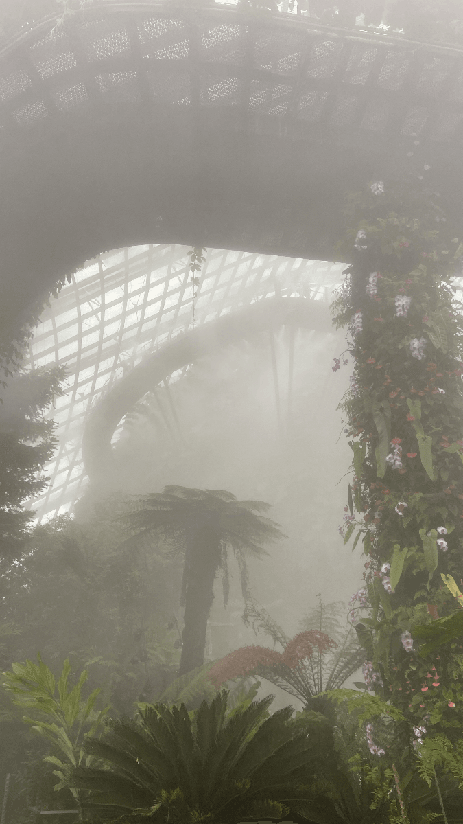 Cloud Forest — Singapore