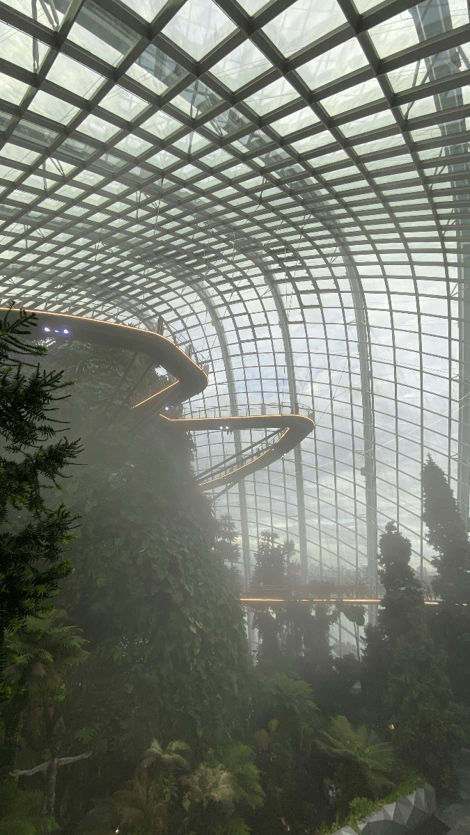 Cloud Forest — Singapore