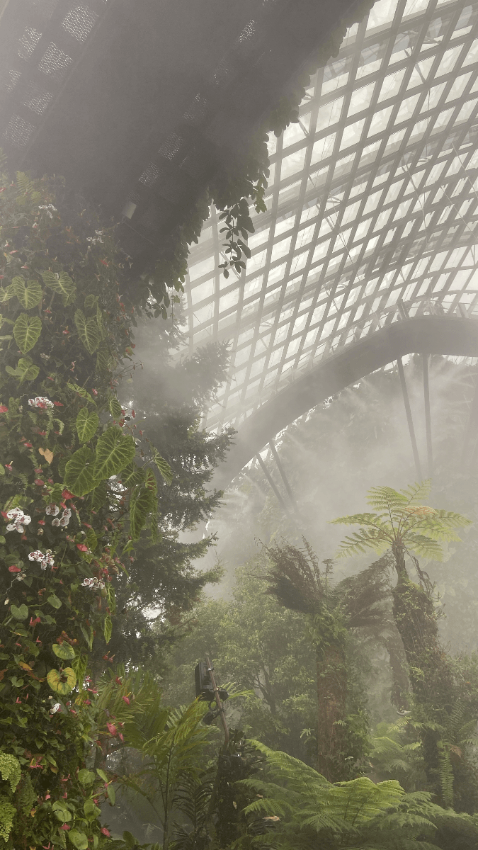Cloud Forest — Singapore