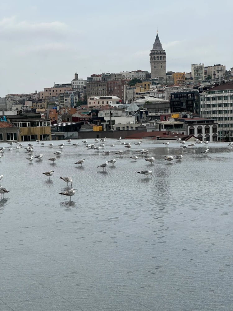 Istanbul Museum of Modern Art — Istanbul