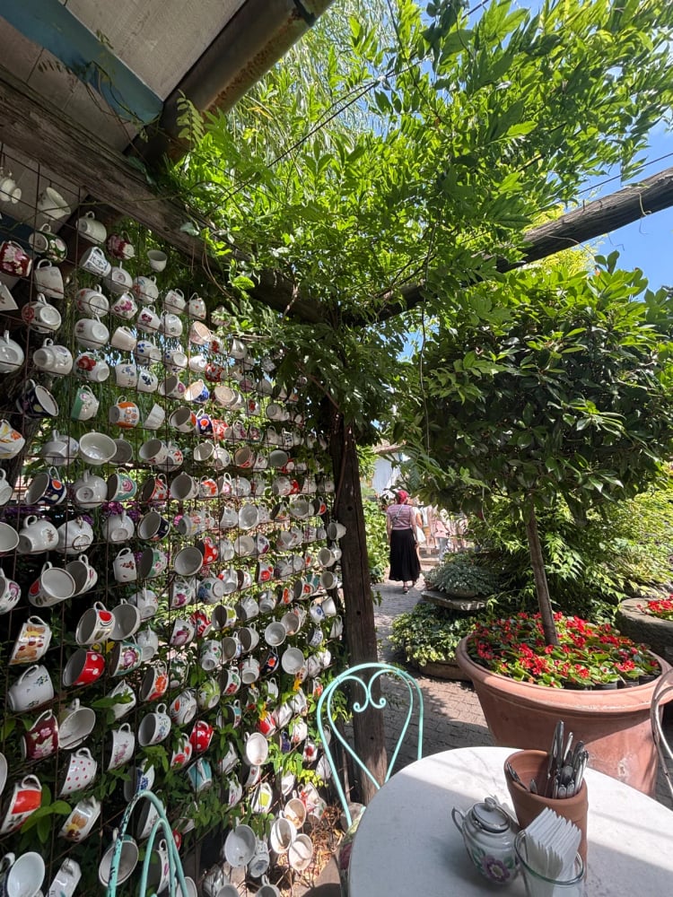 Gardenia Shevardnadze — Tbilisi