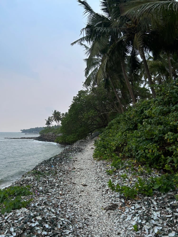 Vengali Sea Rock