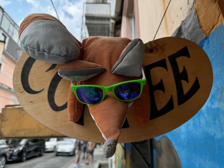 fox coffee — Batumi
