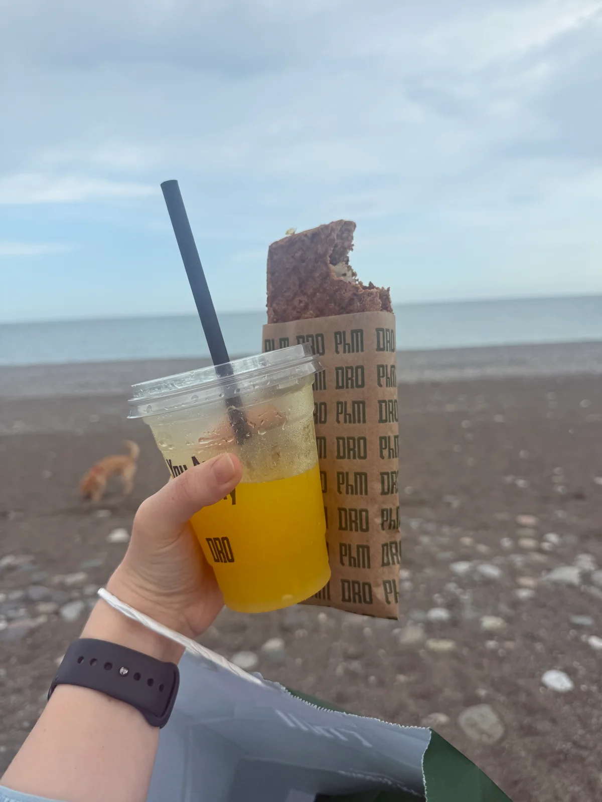 DRO Batumi