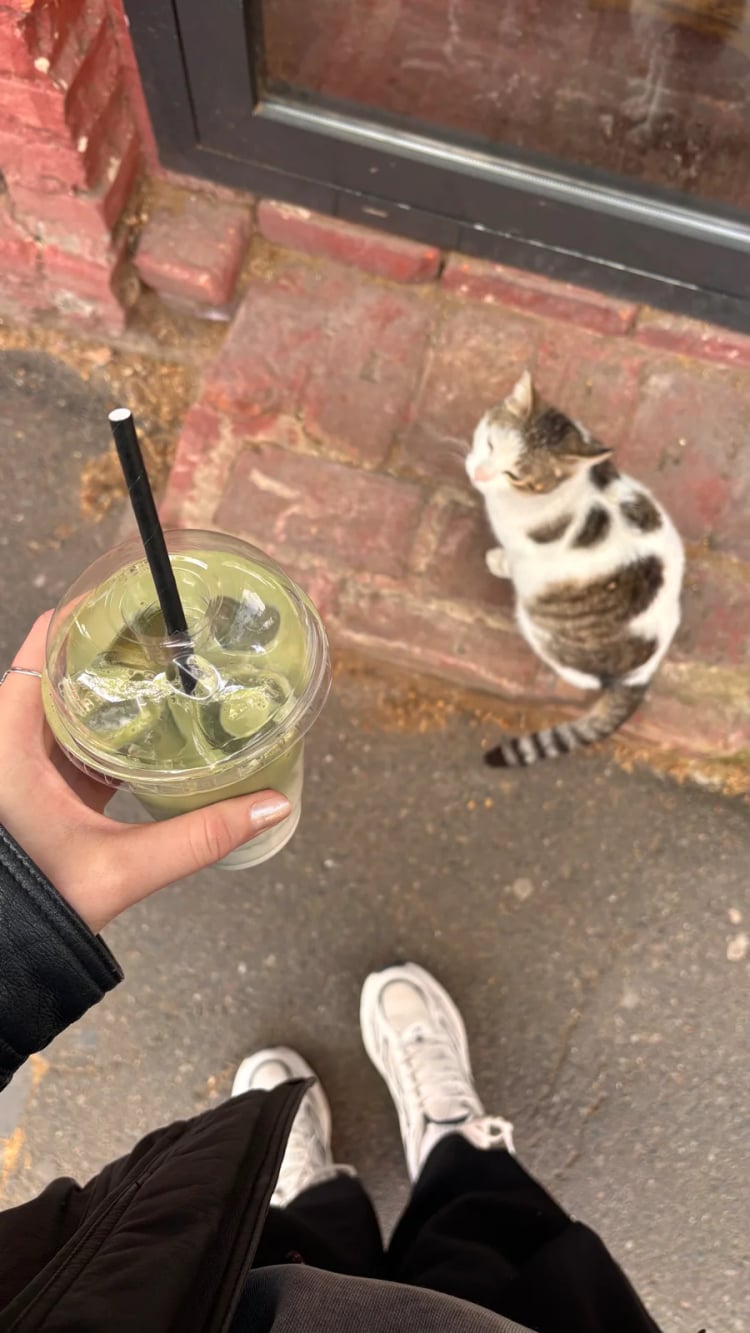 Salut! (coffee) — Tbilisi