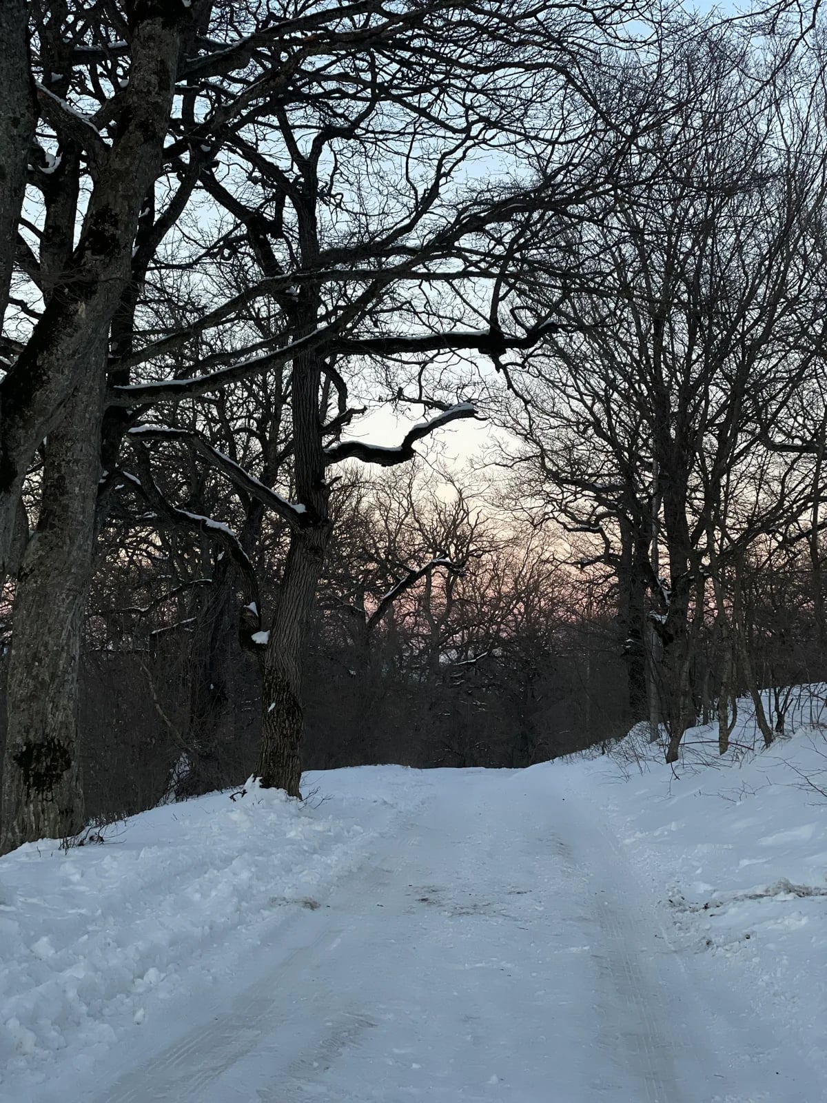 Azeula Fortress