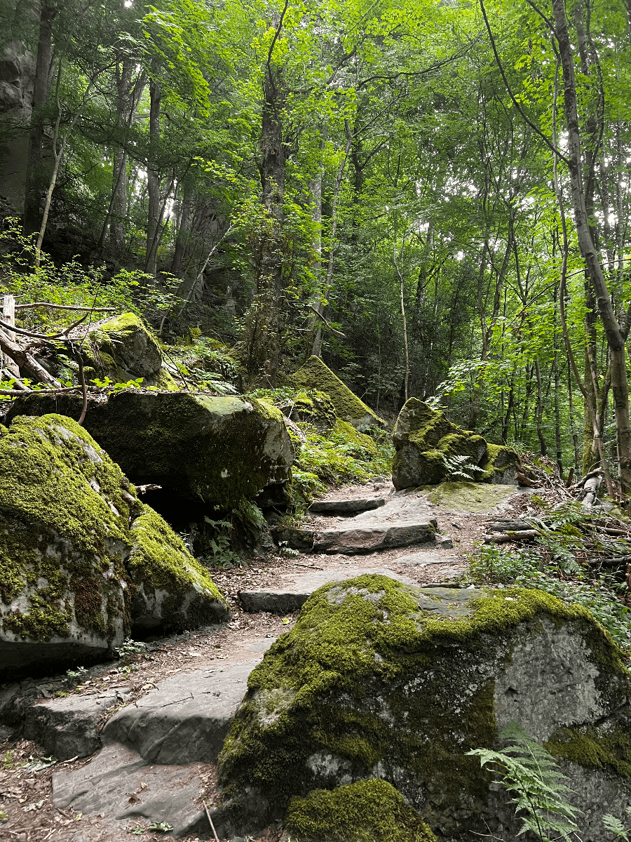 Mullerthal Trail