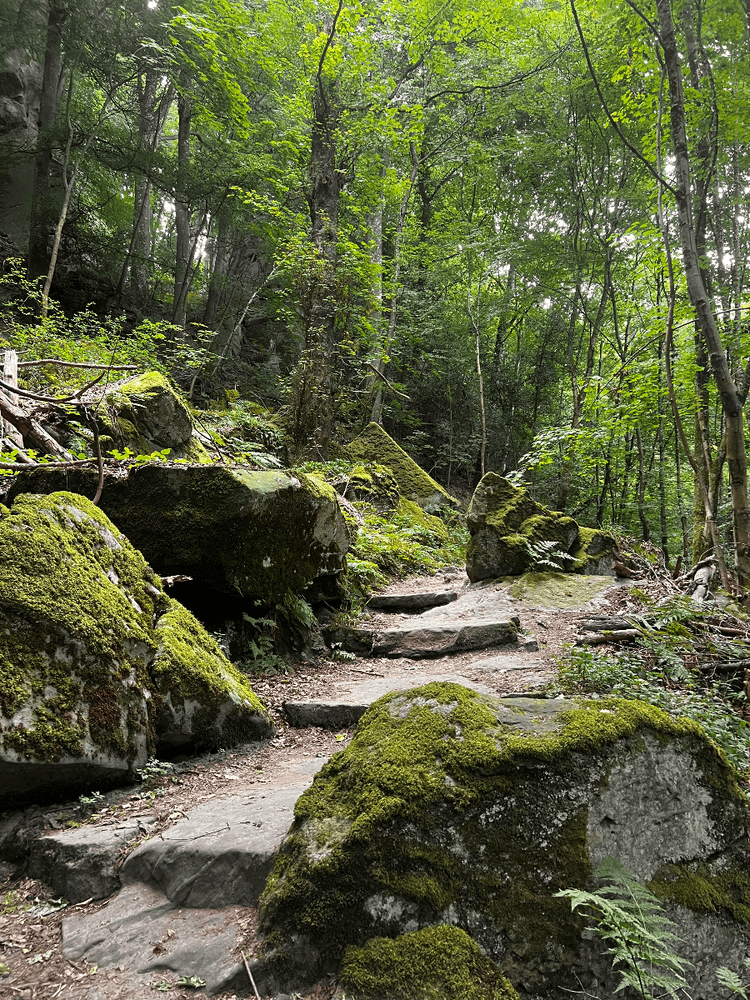 Mullerthal Trail — Waldbillig