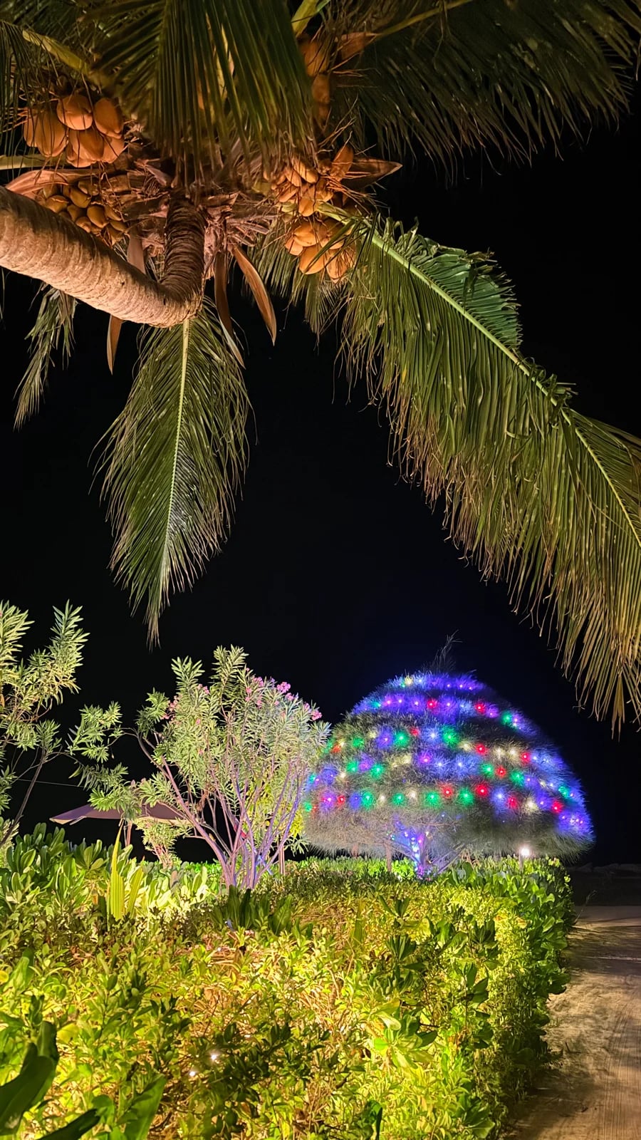 Thulusdhoo