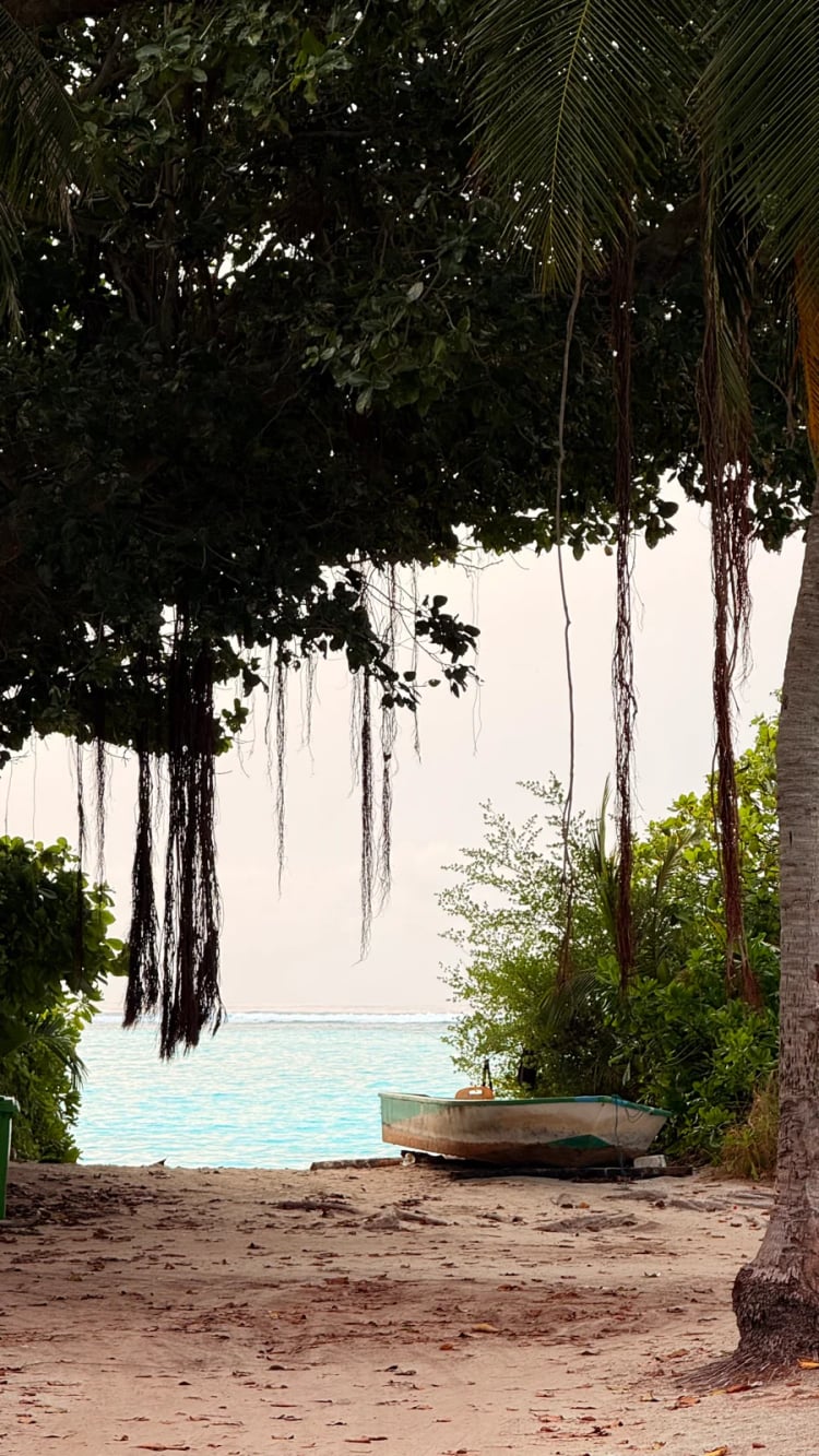 Thoddu Beach — Alif Alif Atoll