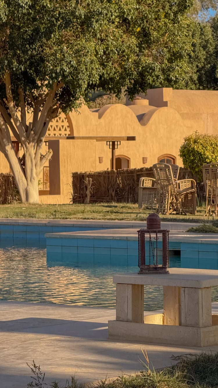 Tzila Bahariya — Giza Governorate
