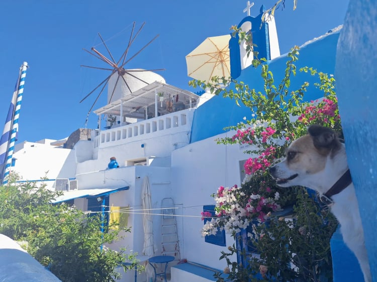 Glitzy Windmill — Oia