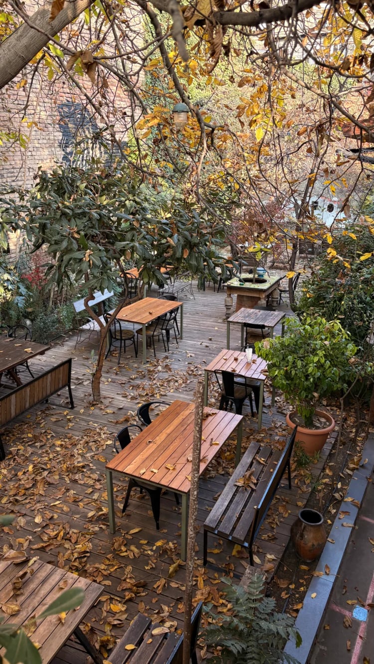 Shavi Lomi — Tbilisi