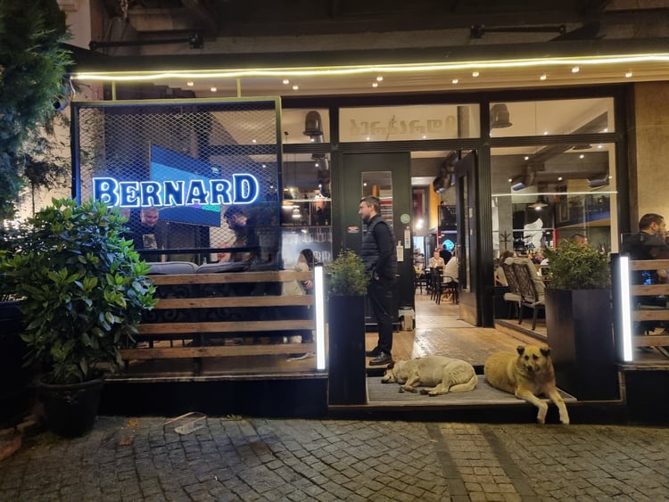 Bernard — Tbilisi