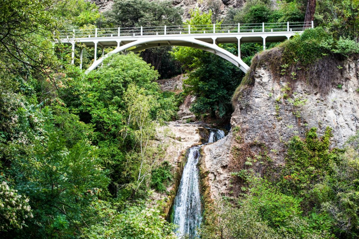 National Botanical Garden