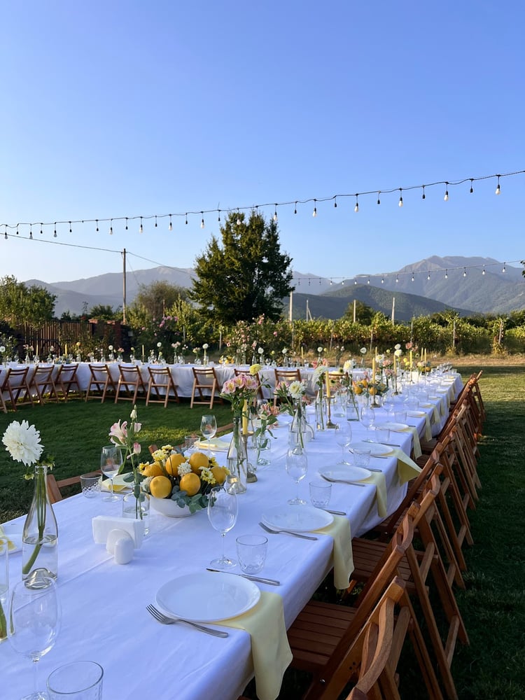 Chubini Winery & Cabins — Shilda