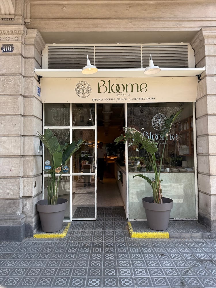 Bloome by Sasha | Passeig Sant Joan — Barcelona
