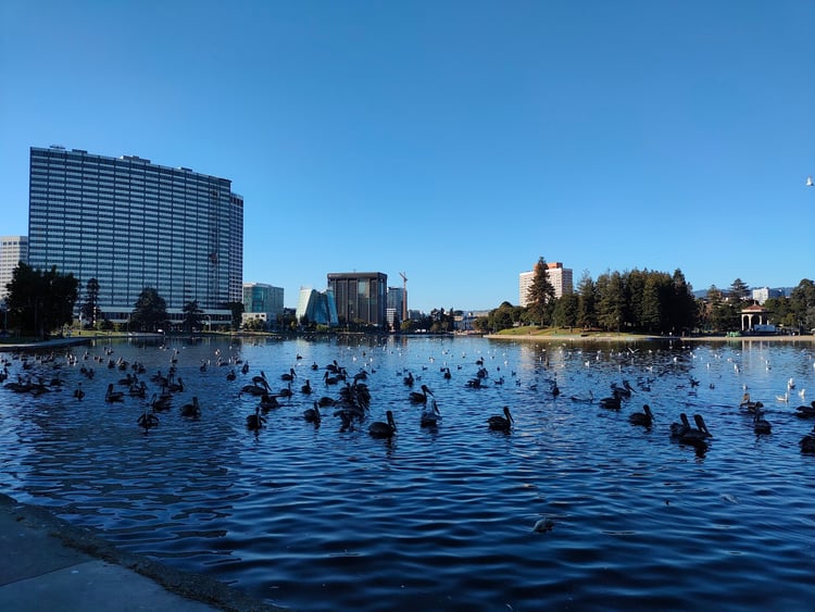 Oakland — Oakland