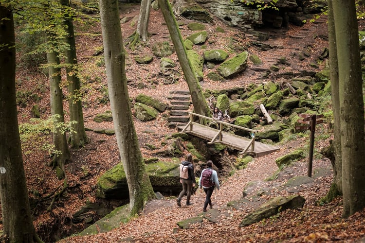 Mullerthal Trail — Waldbillig