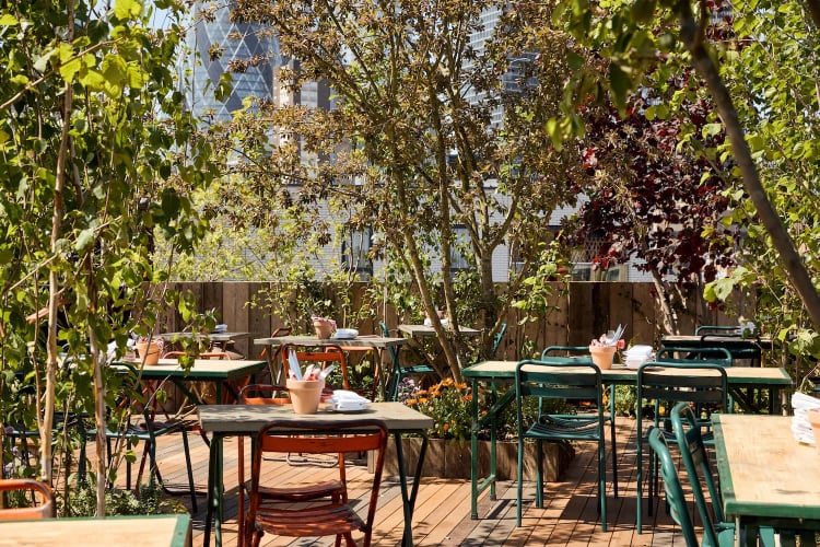 The Culpeper — London