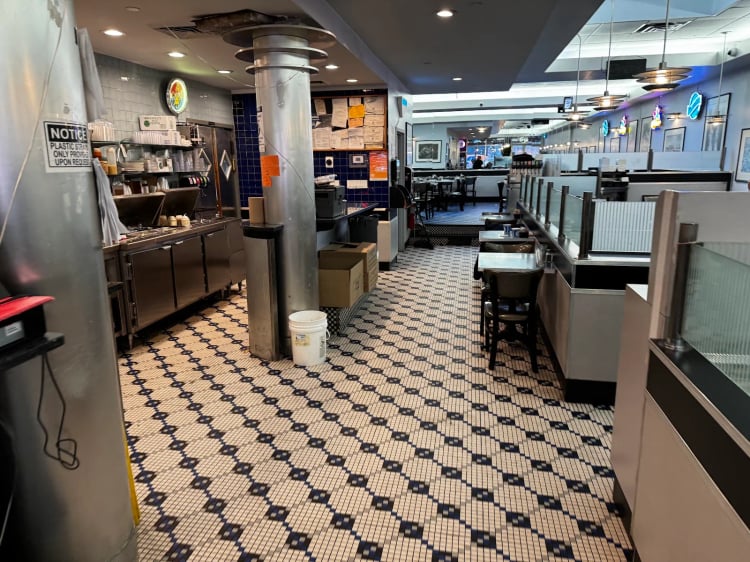Skylight Diner — New York