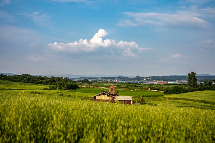 Anseong Farmland Grassland — Anseong-si