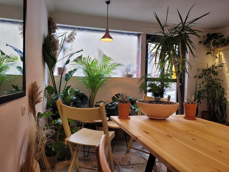 Plant Lovers Tbilisi — Tbilisi