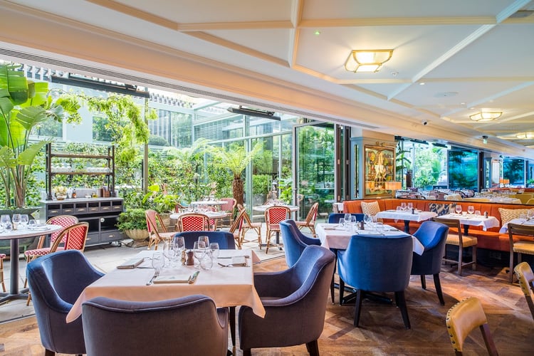The Ivy City Garden — London