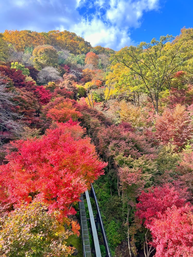 Hwadam Botanical Garden — Gwangju-si