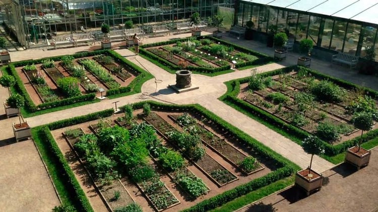 Apothecary Garden — Moscow