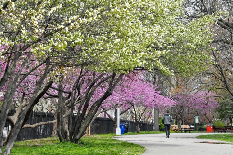 McCarren Park — New York