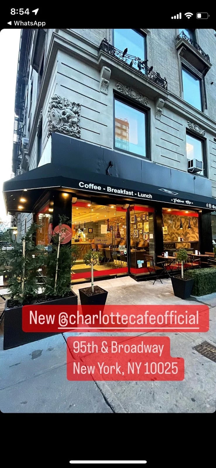 Charlotte Cafe — New York